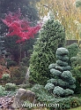 wbgarden autumn 36